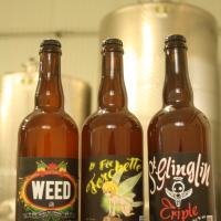 3 bouteilles de biere 3_brasserie artesienne_kit a biere_biere sans gluten_a facon.jpg