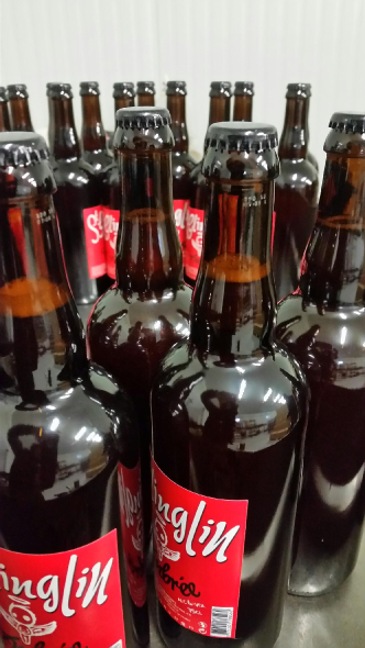 bouteille de biere sur la ligne_brasserie artesienne_kit a biere_biere sans gluten_a facon