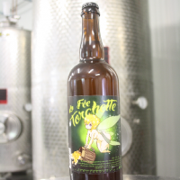 fée torchette 75_brasserie artesienne_kit a biere_biere sans gluten_a facon.jpg