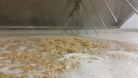 malt dans la cuve_brasserie artesienne_kit a biere_biere sans gluten_a facon.jpg