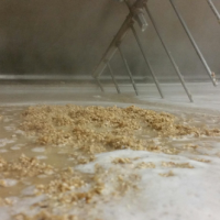 malt dans la cuve_brasserie artesienne_kit a biere_biere sans gluten_a facon.jpg