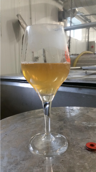 mout_brasserie artesienne_kit a biere_biere sans gluten_a facon