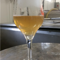 mout_brasserie artesienne_kit a biere_biere sans gluten_a facon